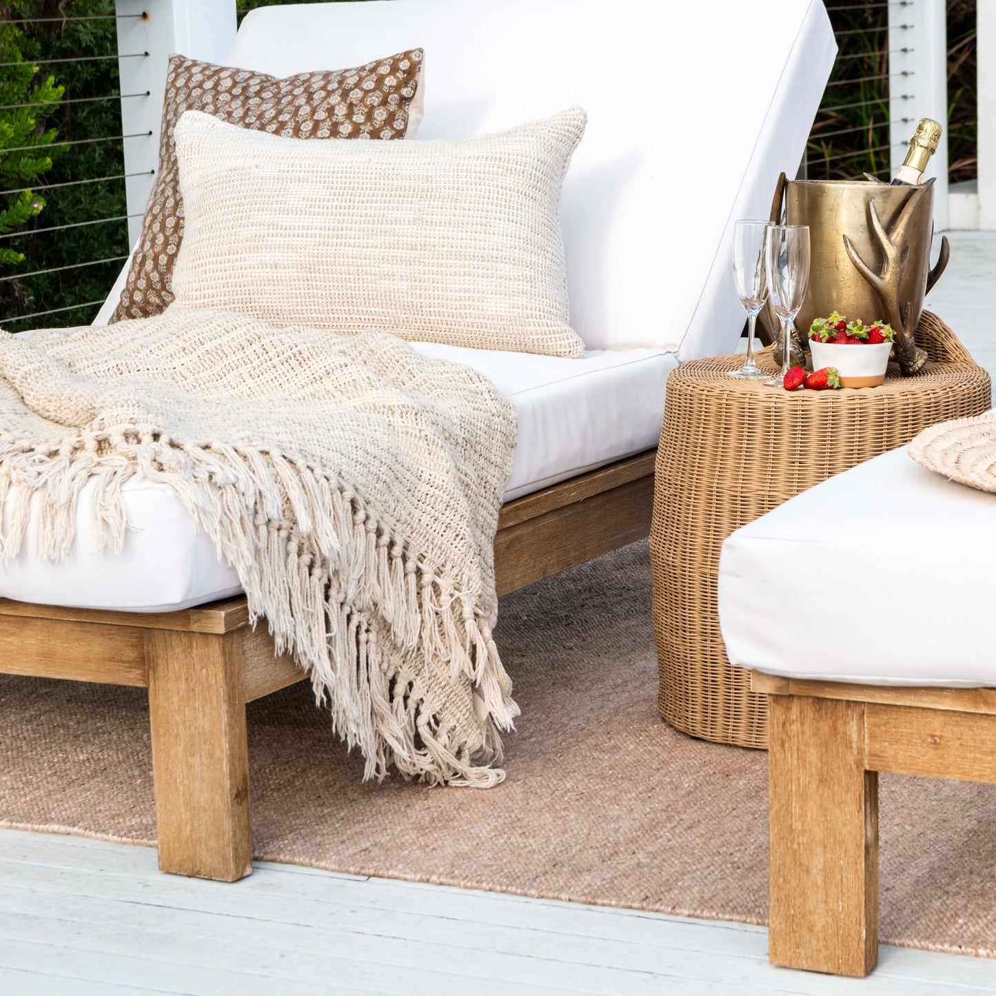 Outdoor Zebra Home Rugs