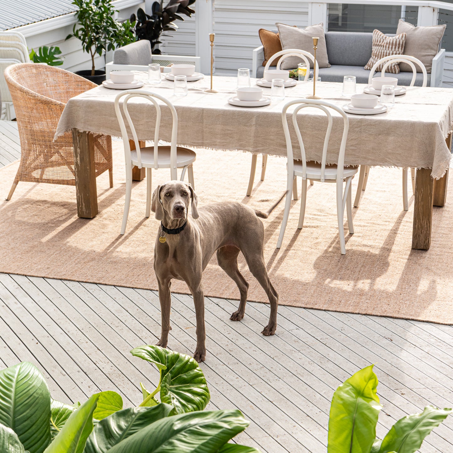 Fraser outdoor rug by Zebra Home Australia