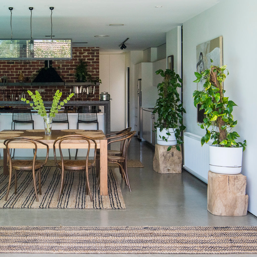 Smith Stripe Runner Rugs - Hallway Runner Rugs