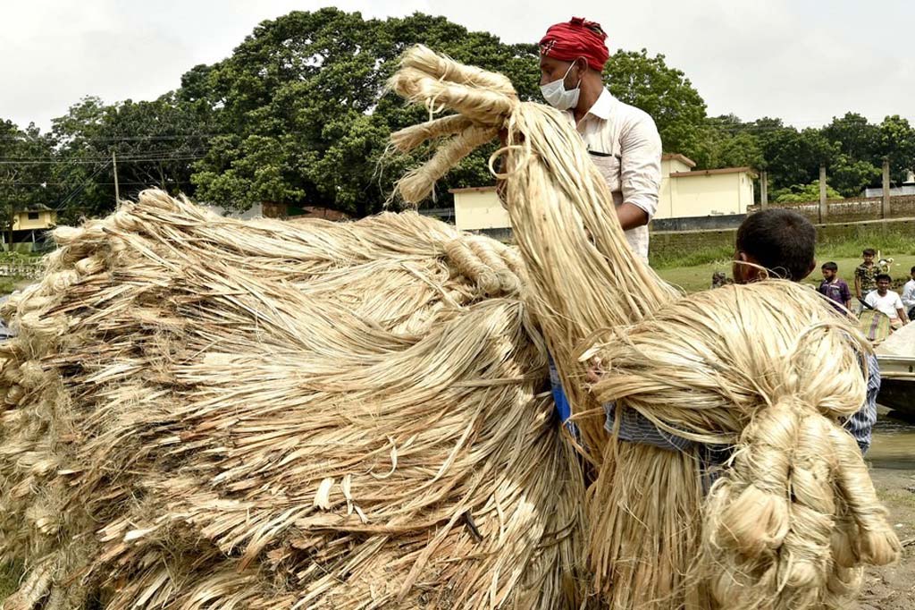 The History of Jute Rugs: From Ancient Craft to Modern Homes