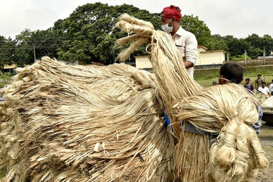 The History of Jute Rugs: From Ancient Craft to Modern Homes