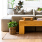 Fraser Outdoor/indoor runner