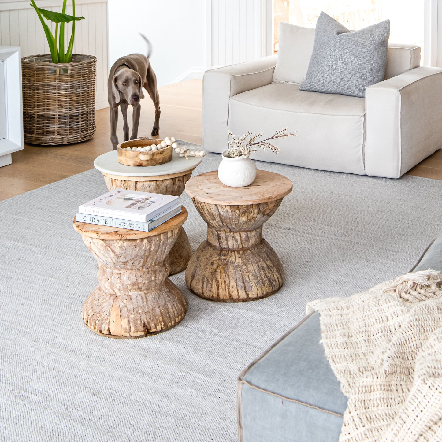 Bates Rug - Washable rug rugs - Indoor outdoor rugs