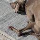 Henshall Herringbone Indoor Outdoor Rug
